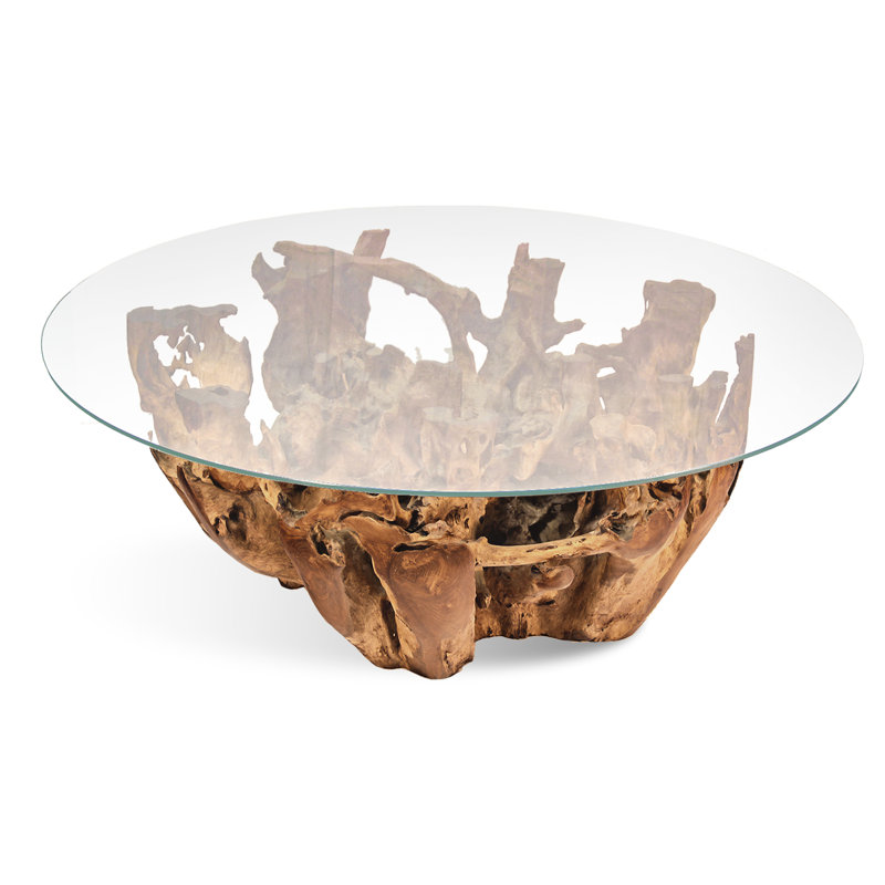 Glass Top Single Coffee Table
