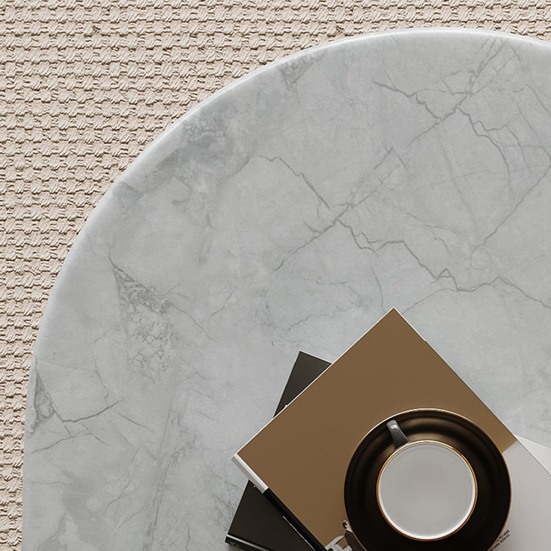 Table basse ovale légère et luxueuse