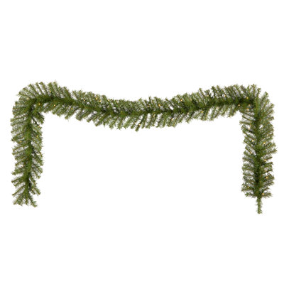 Norwood Fir Garland with Clear Lights