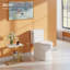 Toilette allongée une pièce, chasse simple 1,28 GPF, fermeture en douceur, hauteur confortable, levier à gauche