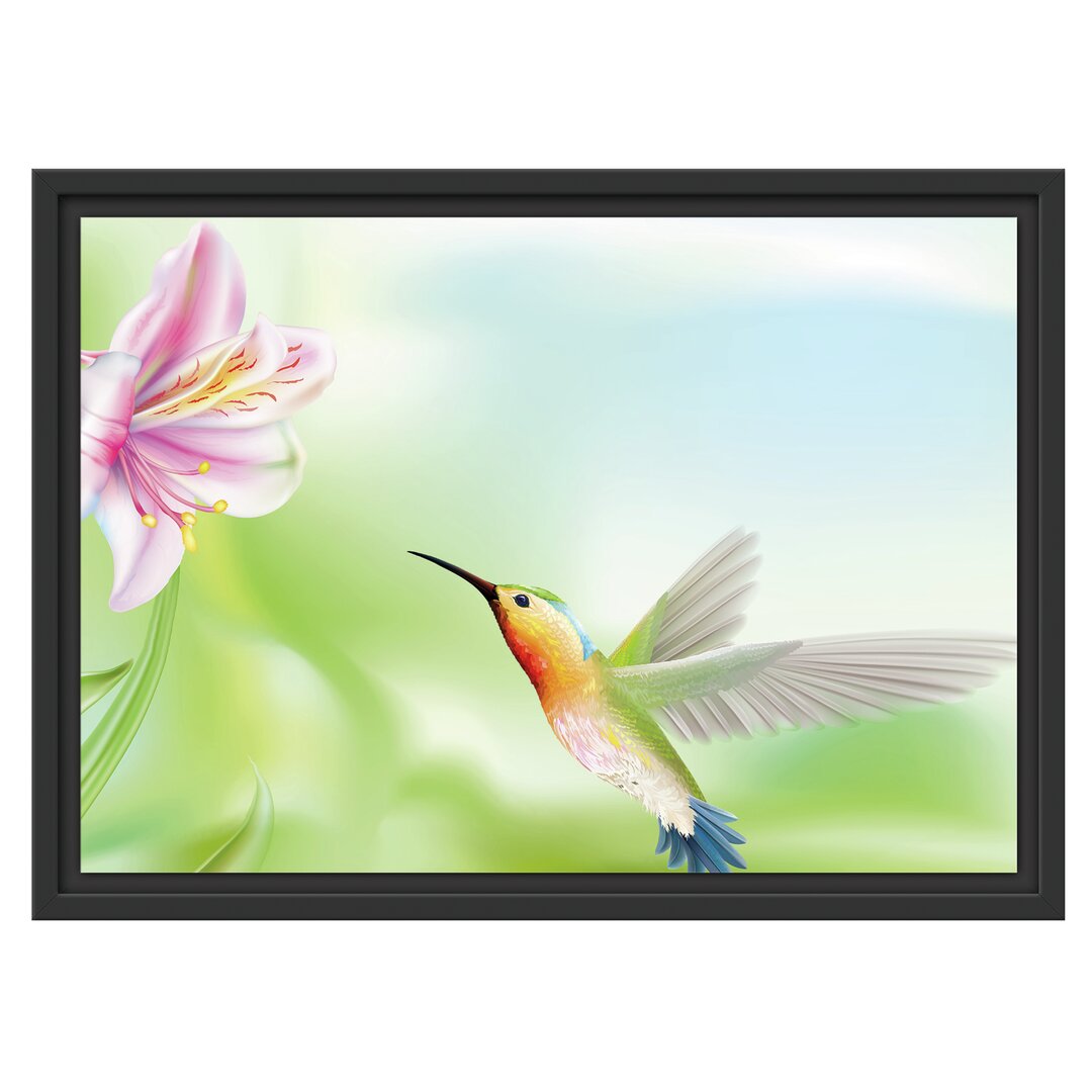 Gerahmtes Wandbild Wunderschöner Kolibri mit Blüte