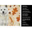 Serviette blanche Akita-2083472349