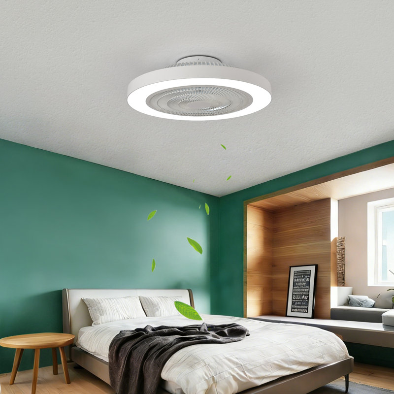 Ventilateur de plafond à profil bas de 19 pouces avec lumière, montage encastré, 5 pales transparentes, finition mate, double DEL à intensité variable, télécommande, pour chambre à coucher, salon, cuisine