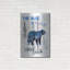 «The Blue Bear» par Lightbox Journal-33706137