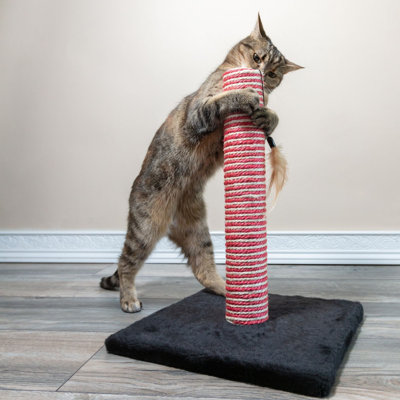 Rialto Scratching Post