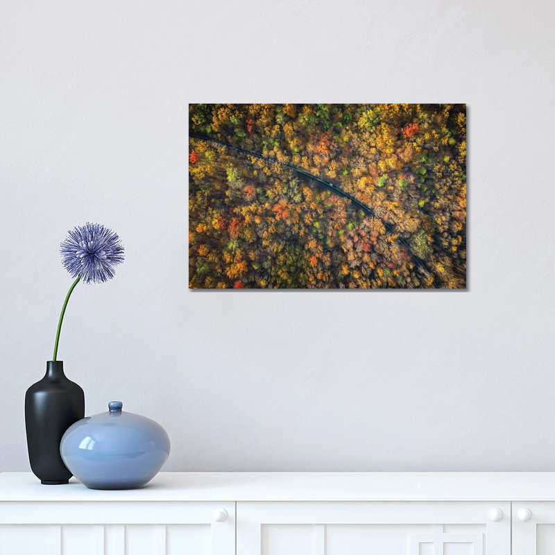 Road Through a Dense Autumn Forest 1 Piece Wrapped Canvas Painting, 30.48 cm H x 45.72 cm W