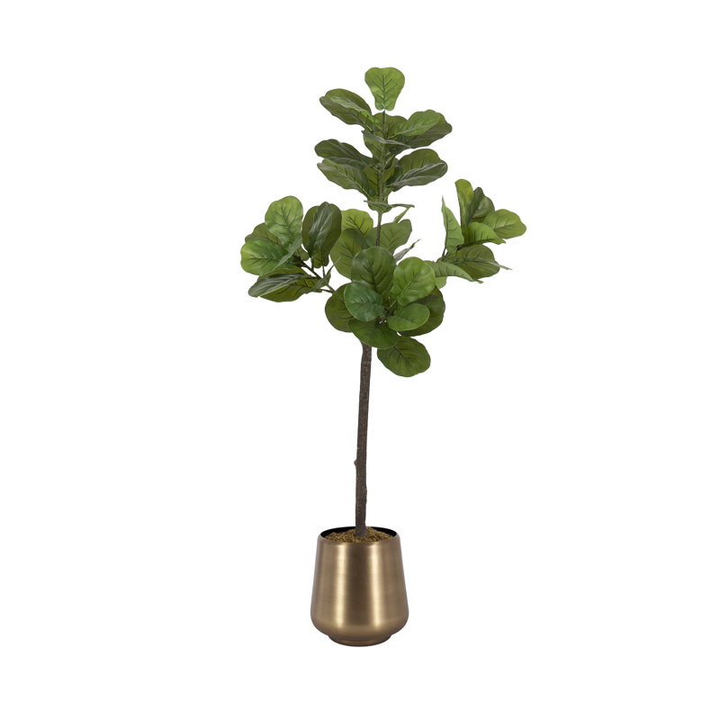 Figuier en figuier avec pot Portell, Doré, H 47,24 po x l 19,69 po x P 15,75 po