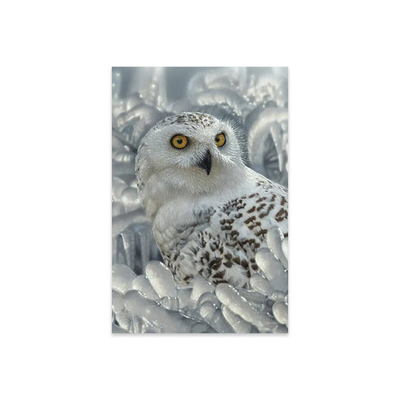 «Snowy Owl Sanctuary - Vertical» par Collin Bogle, impression sans cadre, H 24 po x l 16 po x P 0,25 po