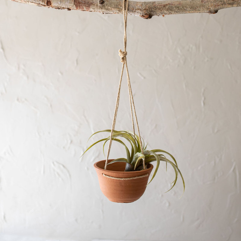 Pot Planter
