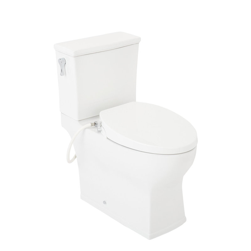 Carraway 1.28 GPF Two Piece Elongated Toilet, White/Polished Chrome