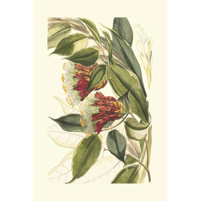 Fantastical Botanical II by Curtis - Wrapped Canvas Art Prints