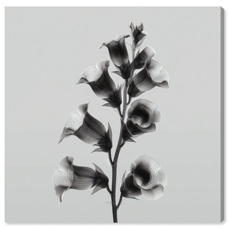 Ossified Petals I Print by Oliver Gal, 40"H x 40"W, Gallery Wrapped