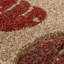 Noam Floral Area Rug-62698340