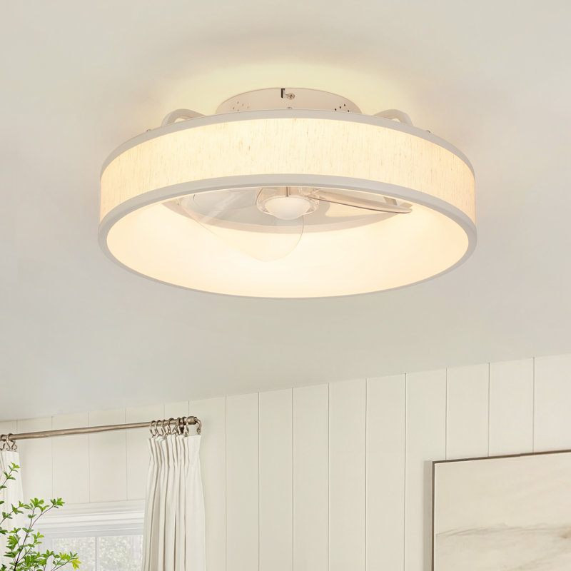  Ventilateur de plafond en cage 17,7 po Arachne avec lumières DEL et télécommande, White