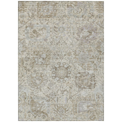 Segin Area Rug