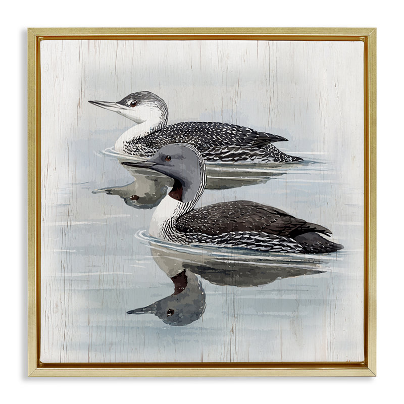 «Twin Loons in Water», toile encadrée flottante noire par Susan Jill, Cadre flottant métallique doré, H 18 po x l 18 po