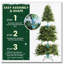 Arbre de Noël 7 pi pré-éclairé
