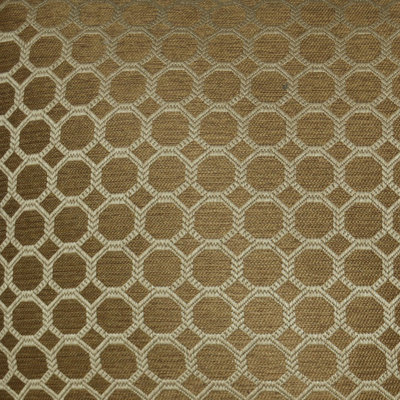 Dax Fabric