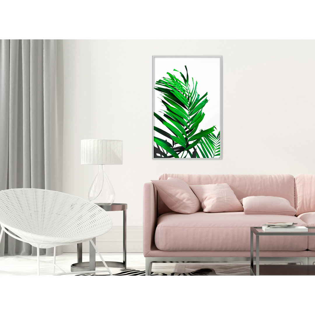 Gerahmter Fotodruck Emerald Palm