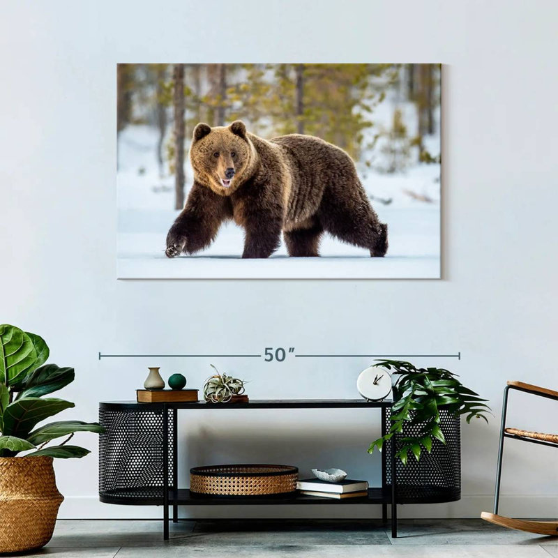Adulte grizzly, H 30 po x l 45 po