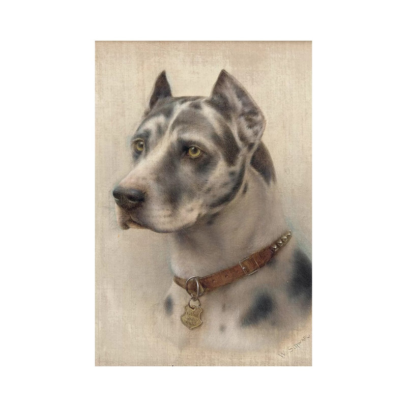 The Head Of A Doberman by Wilhelm Schwar - Wrapped Canvas Painting, 20.32 cm H x 30.48 cm W