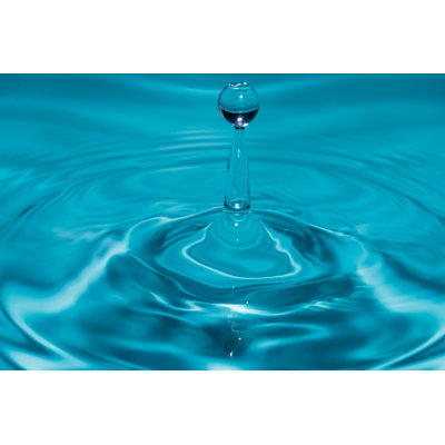 Bardfield Drop Water - Wrapped Canvas Print