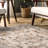Rippeon Vintage Medallion Power Loom Performance Brown Rug-666141390