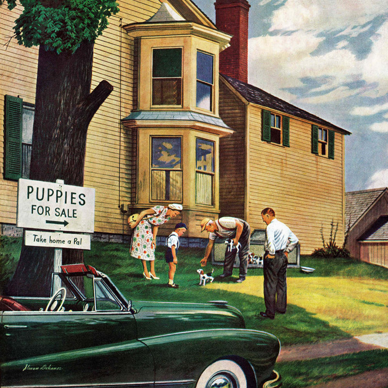 Picking A Puppy by Stevan Dohanos - Wrapped Canvas Painting, 81cm H x 81cm W