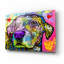  «Elation» par Dean Russo, art mural en verre acrylique, 16 po x 12 po