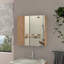 Armoire à portes doubles 23 "Medecine, quatre tablettes intérieures, pin-728415395