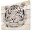 « white bengal tiger », peinture à l’animal-35120449-35120455