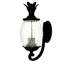 Lanterne murale d'extérieur à 2 ampoules H 18 po Arlesey-23586383