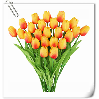 Tulip Arrangement