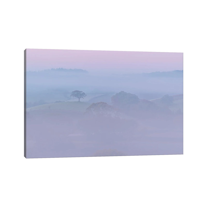 Pretty In Pink by Adam Burton - Wrapped Canvas Print, 20.32 cm H x 30.48 cm W