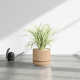 Byer Handmade Ceramic Pot Planter