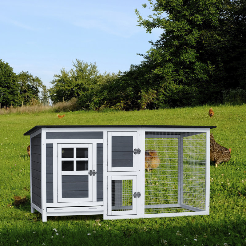 Cage à volaille pour petits animaux