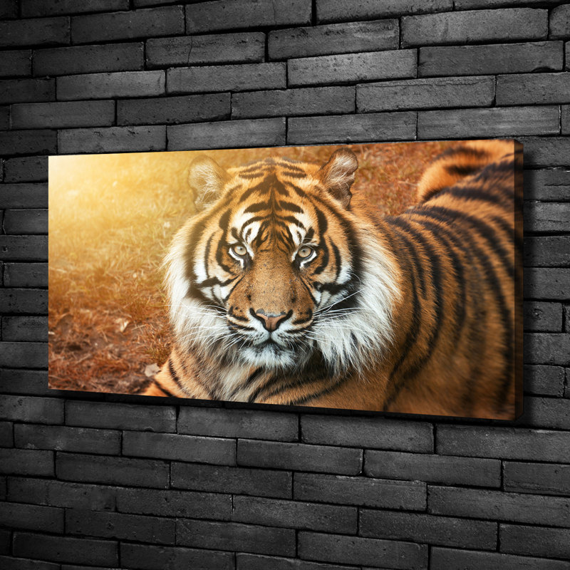 Bengal Tiger - No Frame Print on Canvas
