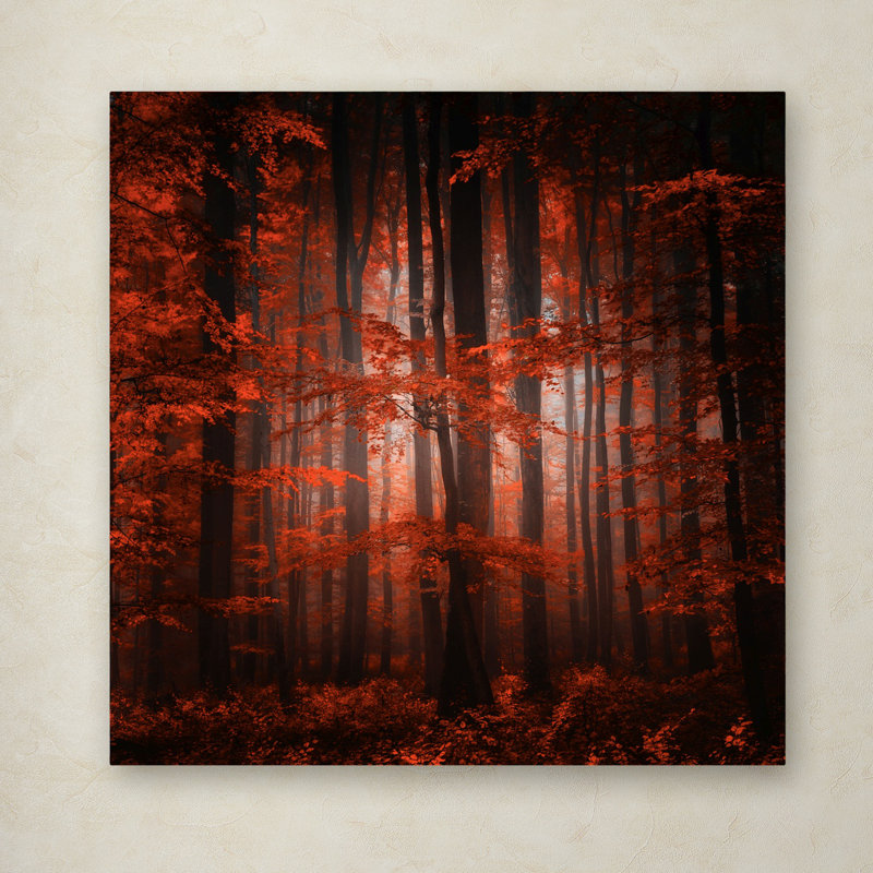 « red parallel univers », reproduction de photo sur toile tendue encadrée, H 35 po x l 35 po x P 2 po