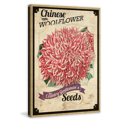Flower Packet Woolflower - Wrapped Canvas Print