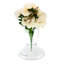 Caprice Handmade Glass Decorative Bowl