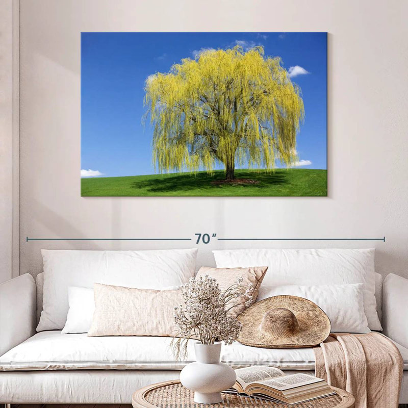 Harnek Spring Weeping Willow, 32" H x 48" W