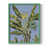 Vert sélectionné