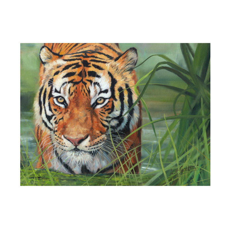 David Stribbling Tiger Grass Canvas Art, 14" H x 19" W