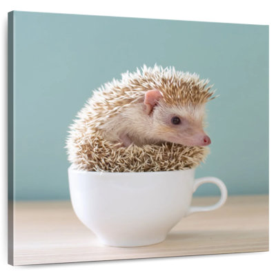 Crowle Hedgehog In A Teacup