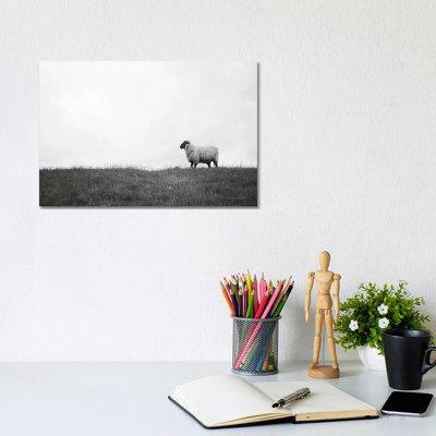 Islay Sheep II by Laura Marshall - Wrapped Canvas Print