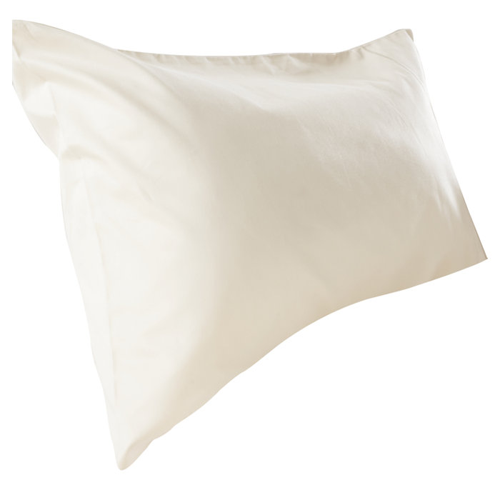 Plain Dye 200 TC Egyptian-Quality Cotton 100% Cotton Plain Weave Housewife Pillow Case, Ivory