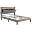 Debarata Upholstered Storage Bed-630553814