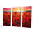 Wrapped Canvas selected