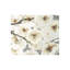 Blossoming Print-26947214-26947220