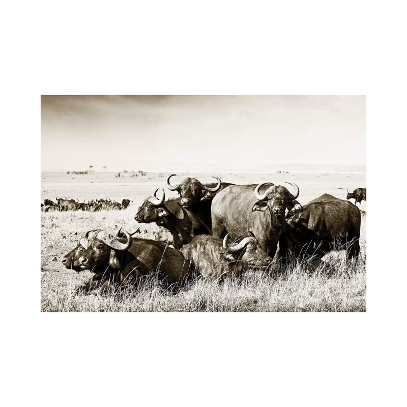 Allied Buffaloes by Klaus Tiedge - Print on Canvas, 20.32 cm H x 30.48 cm W, Wrapped Canvas